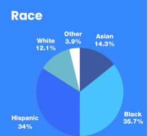 SYEP Participants by Race: 14.3% Asian; 35.7% Black; 34% Hispanic; 12.1% White; 3.9% Other
