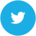 Twitter Logo