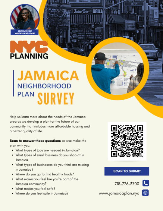 Jamaica Neighborhood Survey