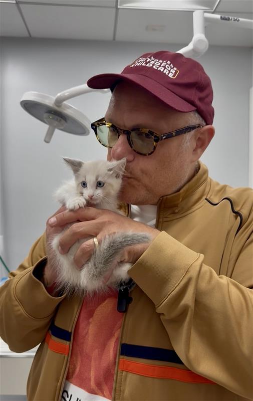 NYC Council Approves $500,000 in Funding to Expand Affordable Spay and Neuter Services